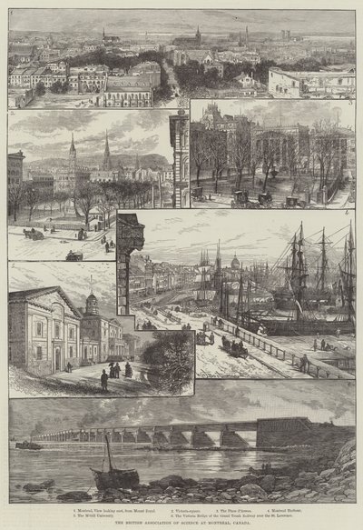 The British Association of Science at Montreal, Canada by William Henry James Boot